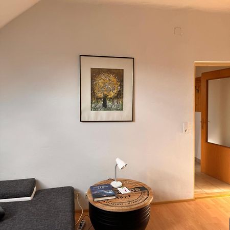 Apartment Regina, Schnelles Internet Knittelfeld Ngoại thất bức ảnh